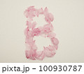 花びらで描いた英語の大文字“B” 100930787