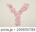 花びらで描いた英語の大文字“Y” 100930789