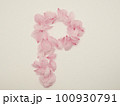 花びらで描いた英語の大文字“P” 100930791