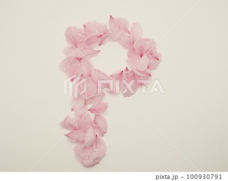 花びらで描いた英語の大文字“P” 100930791