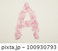 花びらで描いた英語の大文字“A” 100930793