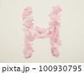 花びらで描いた英語の大文字“H” 100930795