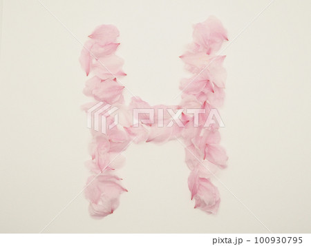 花びらで描いた英語の大文字“H” 100930795