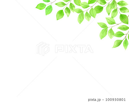 水彩で描いたさわやかな新緑の背景素材 100930801