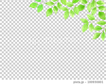 水彩で描いたさわやかな新緑の背景素材 100930801