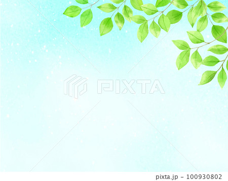 水彩で描いた空に新緑の葉のある背景 100930802