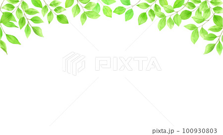 水彩で描いた新緑の背景素材 100930803