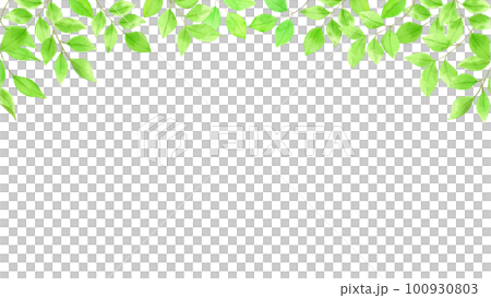 水彩で描いた新緑の背景素材 100930803