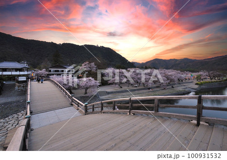 春の錦帯橋（桜祭り）夕暮れ 100931532