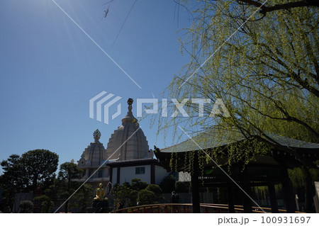 柳色新たなり 川崎大師 柳色新たなり 川崎大師 100931697