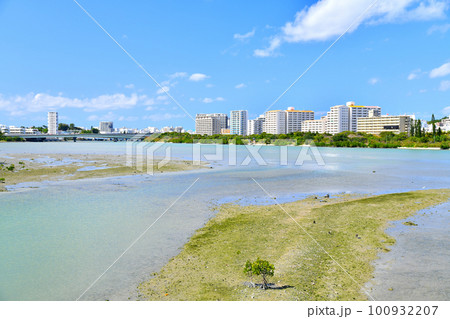 新那覇大橋／漫湖、古波蔵方面を望む(沖縄県那覇市)【2023.2】 100932207