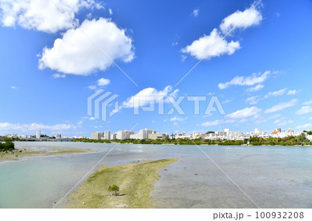 新那覇大橋／漫湖、古波蔵方面を望む(沖縄県那覇市)【2023.2】 100932208