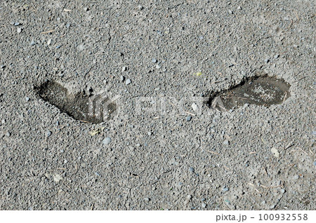 田に残る足跡 田に残る足跡 100932558