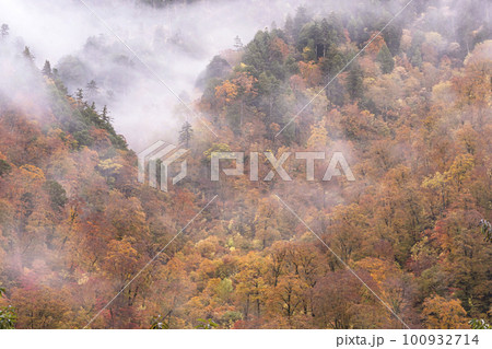 221018わさび平g023 100932714