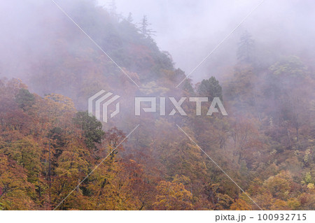 221018わさび平g020 100932715