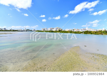 新那覇大橋／漫湖、古波蔵方面を望む(沖縄県那覇市)【2023.2】 100932864