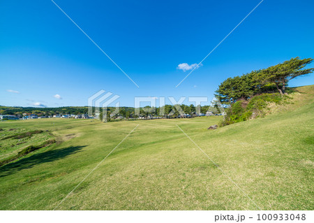 「青森県」快晴の空、美しい芝生が広がる種差海岸・八戸市 「青森県」快晴の空、美しい芝生が広がる種差海岸・八戸市 100933048