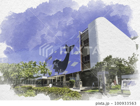 水彩画風　太地　太地町立くじらの博物館　和歌山県太地町 100933563