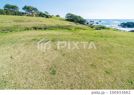 「青森県」快晴の空、美しい芝生が広がる種差海岸・八戸市 「青森県」快晴の空、美しい芝生が広がる種差海岸・八戸市 100933662