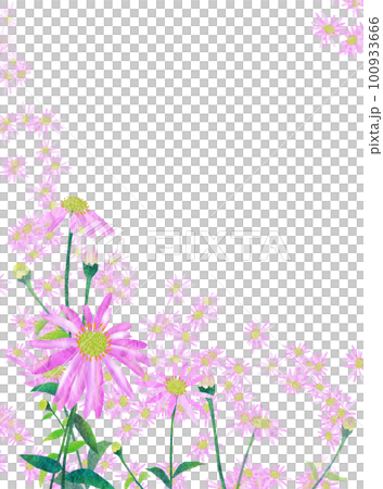 淺紫色野菊花簡單框架 淺紫色野菊花簡單框架 100933666