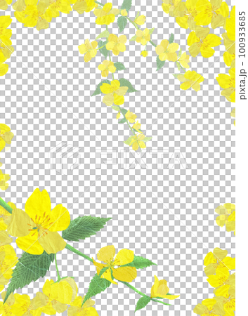 Illustration of Yamabuki blooming in a mountain village in early spring 100933685