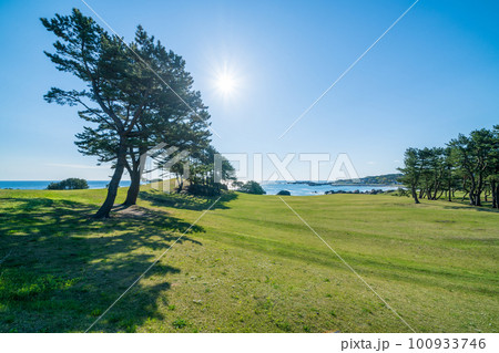 「青森県」快晴の空、美しい芝生が広がる種差海岸・八戸市 「青森県」快晴の空、美しい芝生が広がる種差海岸・八戸市 100933746