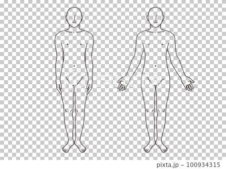 Human body division Whole body Male Anatomical posture 100934315