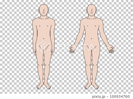 Human body division Whole body Male Anatomical posture Human body division Whole body Male Anatomical posture 100934760
