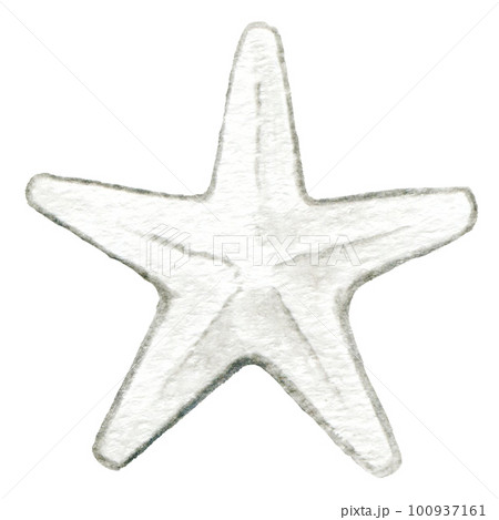How to Draw a Realistic Starfish