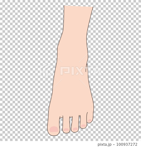 足の甲のイラスト 100937272