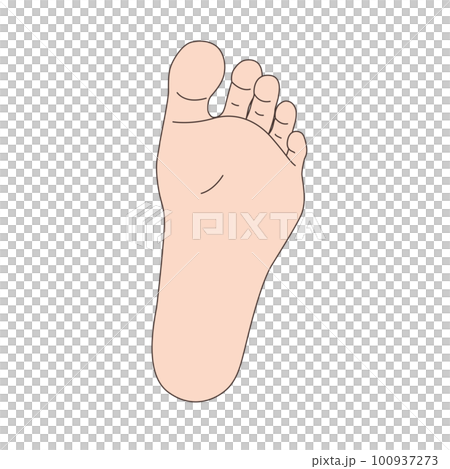 Illustration of the soles of the feet Illustration of the soles of the feet 100937273