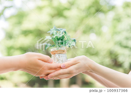 植物・緑の葉を持つ手（SDGs・地球環境） 100937366