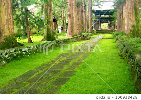 苔むした参道 苔むした参道 100938428