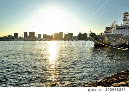 晴海ふ頭公園　海洋観測船開洋丸と練習帆船の夕景 100938885