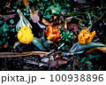 捨てられたオレンジ色の花 100938896