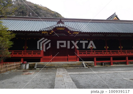 鎌倉 鶴岡八幡宮 鎌倉 鶴岡八幡宮 100939117