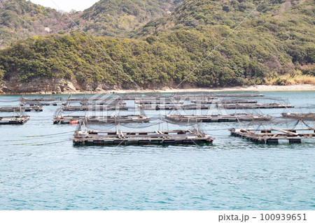 兵庫県南あわじ市福良湾に浮かぶ養殖生け簀 兵庫県南あわじ市福良湾に浮かぶ養殖生け簀 100939651