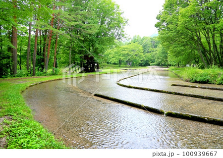 上原温水路・ぬるめ 100939667