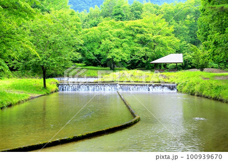 上原温水路・ぬるめ 上原温水路・ぬるめ 100939670
