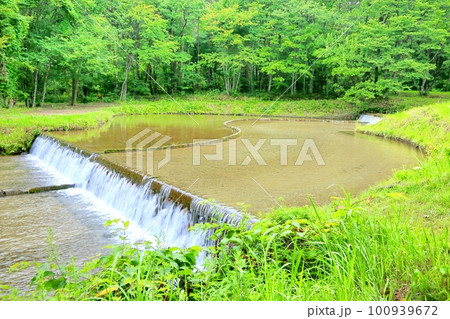 上原温水路・ぬるめ 100939672
