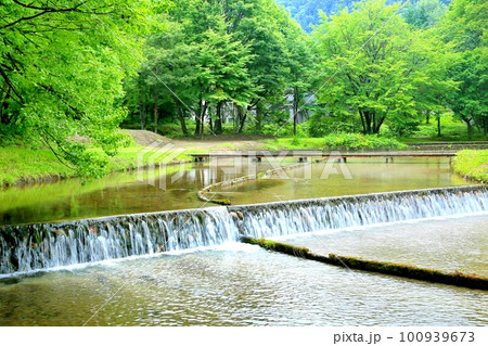 上原温水路・ぬるめ 100939673