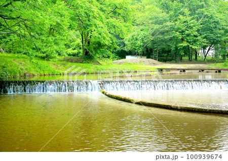 上原温水路・ぬるめ 上原温水路・ぬるめ 100939674