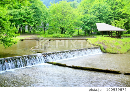 上原温水路・ぬるめ 上原温水路・ぬるめ 100939675