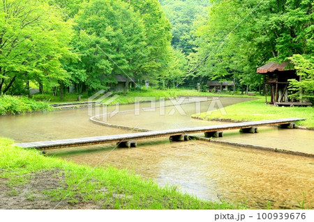 上原温水路・ぬるめ 上原温水路・ぬるめ 100939676