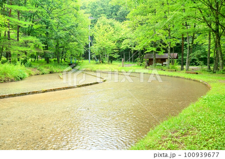 上原温水路・ぬるめ 100939677