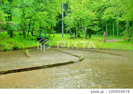上原温水路・ぬるめ 上原温水路・ぬるめ 100939678