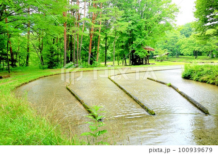 上原温水路・ぬるめ 上原温水路・ぬるめ 100939679