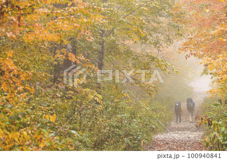 221018わさび平g144 100940841