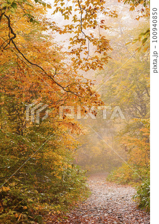 221018わさび平g118 100940850