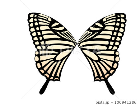 羽を広げたアゲハチョウ 羽を広げたアゲハチョウ 100941286
